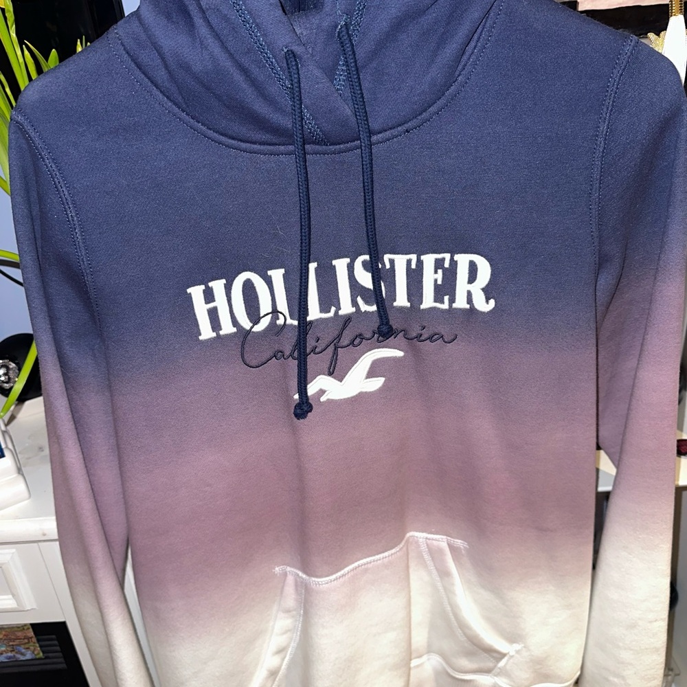 Ombré Holistwr Hoodie
